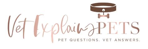 Why Is My Dog Pooping In His Sleep – [Vet Explains Pets]